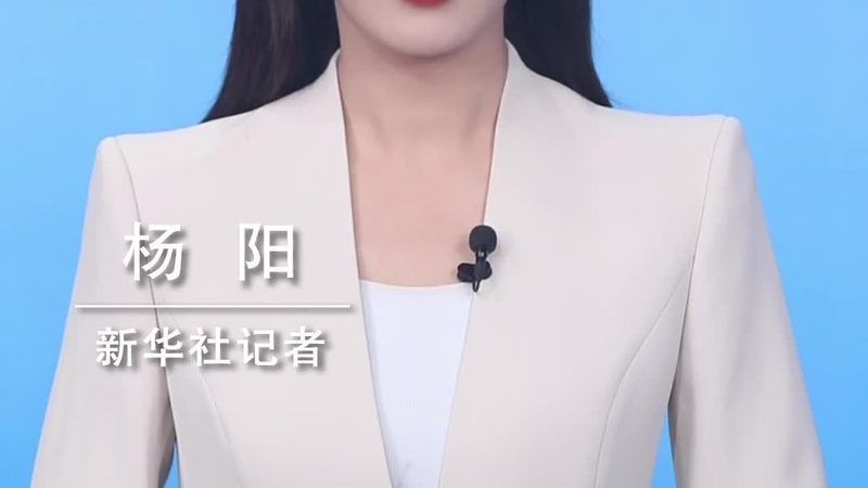 智能客服数据分析标准规范：构建高效服务体系的基石